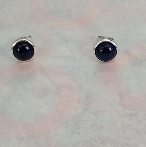 Elegant Silver and Blue Stud Earrings